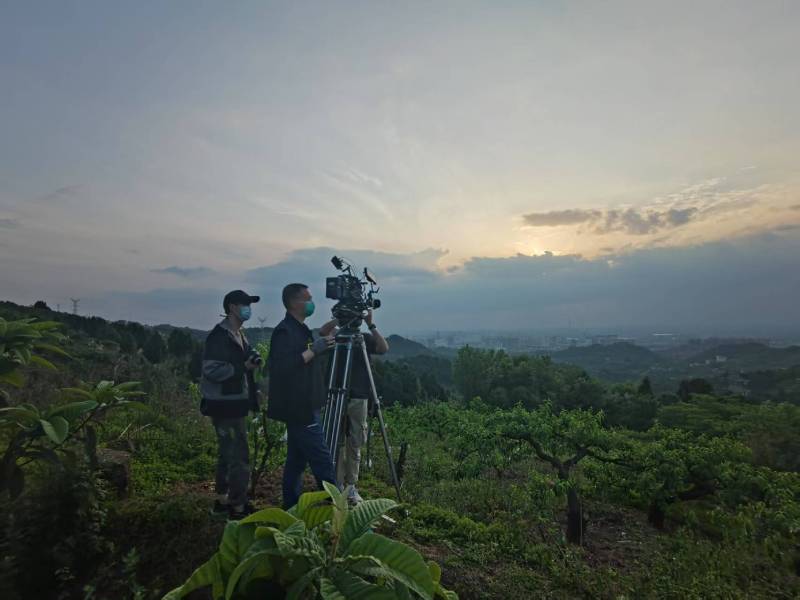 创意破圈！承德电商产品宣传视频用故事化叙事引爆流量