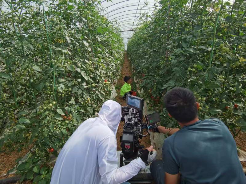 承德产品宣传视频拍摄公司进阶指南，助力品牌抢占传播高地